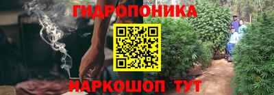 стаф Пугачёв