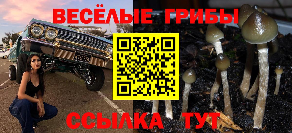 Псилоцибиновые грибы MAGIC MUSHROOMS  Вход с VPN  Свободный 